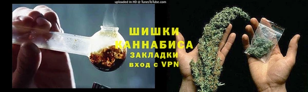 сатива Баксан