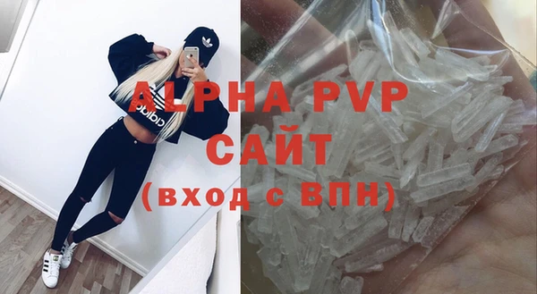 сатива Баксан