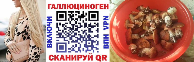 Псилоцибиновые грибы Magic Shrooms  Солнечногорск 